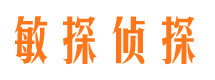 金凤侦探